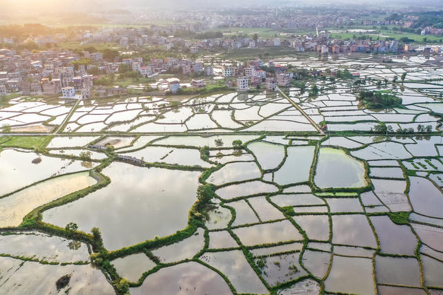 田园 乡村 农村 风景 夏天 生态