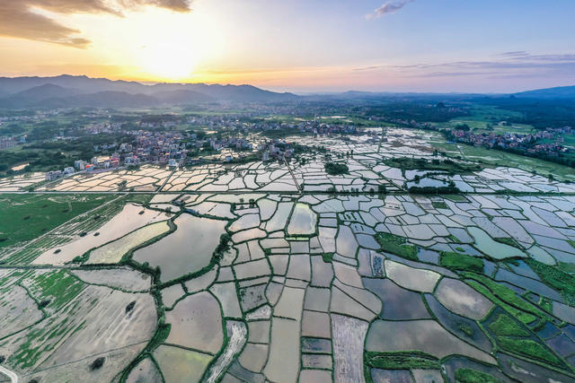 田园 乡村 农村 风景 夏天 生态