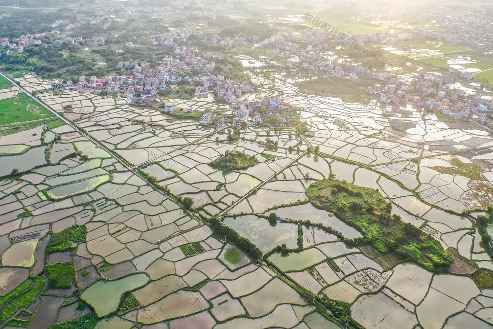 田园 乡村 农村 风景 夏天 生态