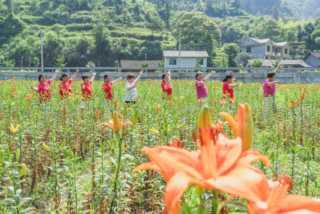 吉首市矮寨镇岩科村百合花博览园  众多游人在打卡拍照、选购花卉  昔日“岩壳”地，今日百花园