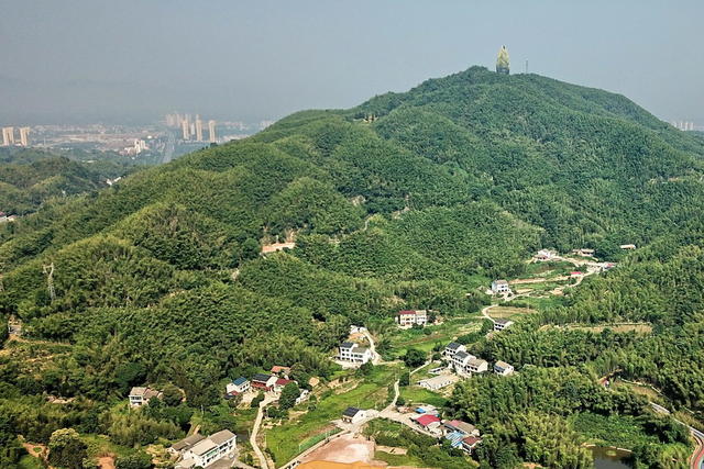 竹业口发展口前景