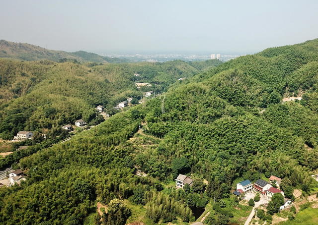 竹业口发展口前景