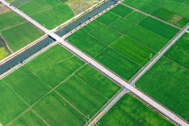 精细化管理  粮食生产