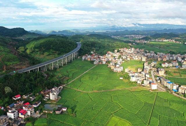 蓝山：夏日乡村美