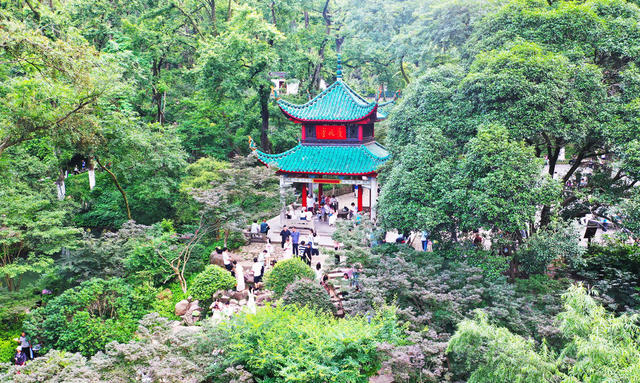 爱晚亭  游玩  旅游  户外  运动