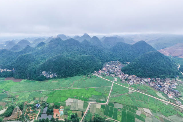 夏日 乡村 风光 村庄 村落 田园
