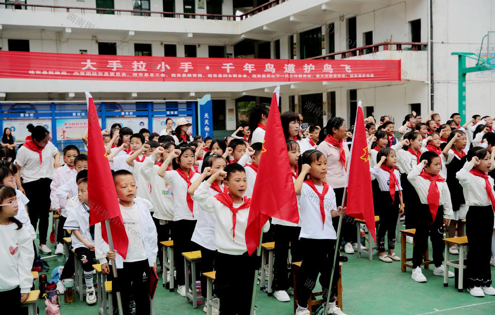 湖南桂东 大手拉小手 千年鸟道 鸟 美丽中国 桂东护鸟营 小朋友