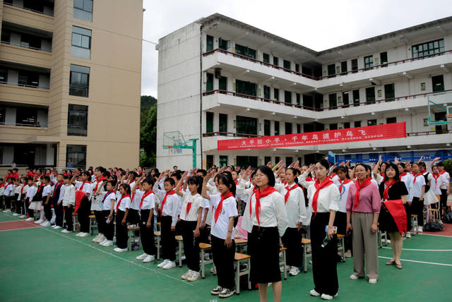 湖南桂东 大手拉小手 千年鸟道 鸟 美丽中国 桂东护鸟营 小朋友