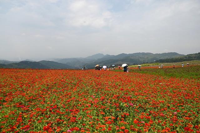 城建  冷水江  风光  