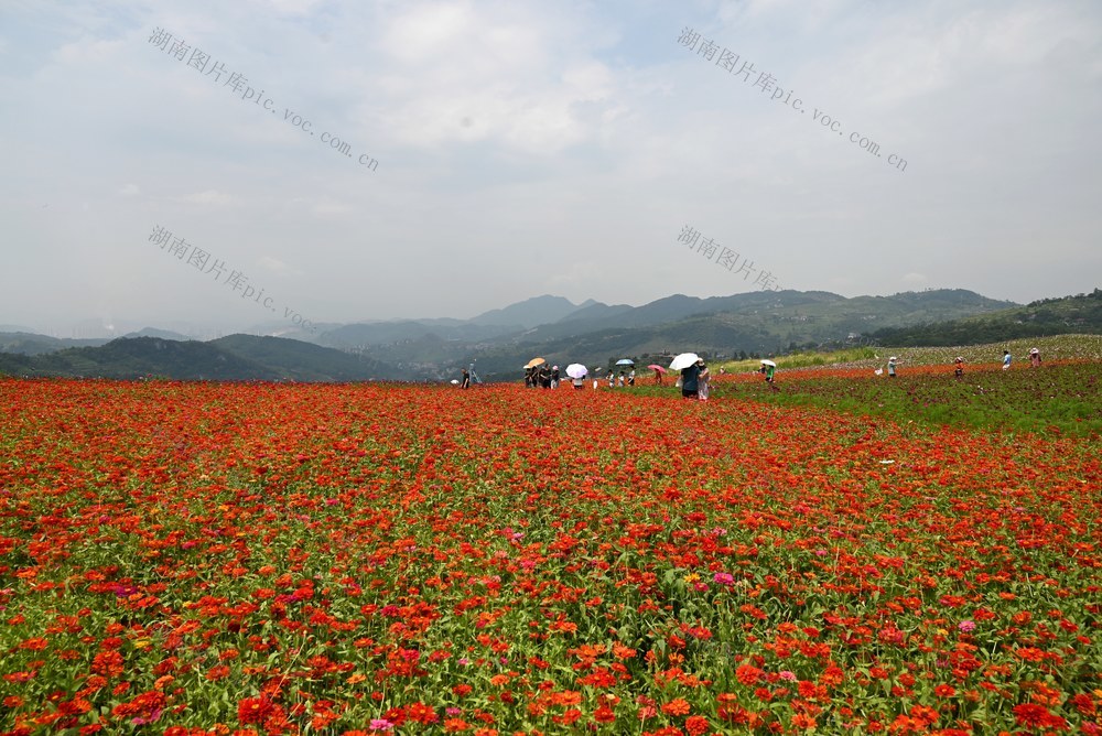 城建  冷水江  风光  