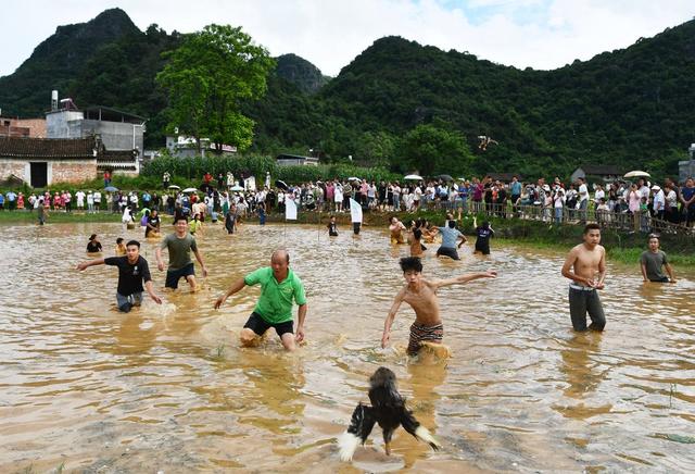   乡村美景引客来 