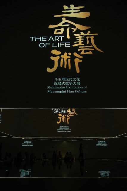 生命，艺术，马王堆，汉代文化，沉浸式，数字大展
