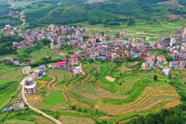 嘉禾：产业兴 山村美