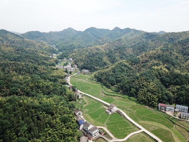 绿色口村庄口景色
