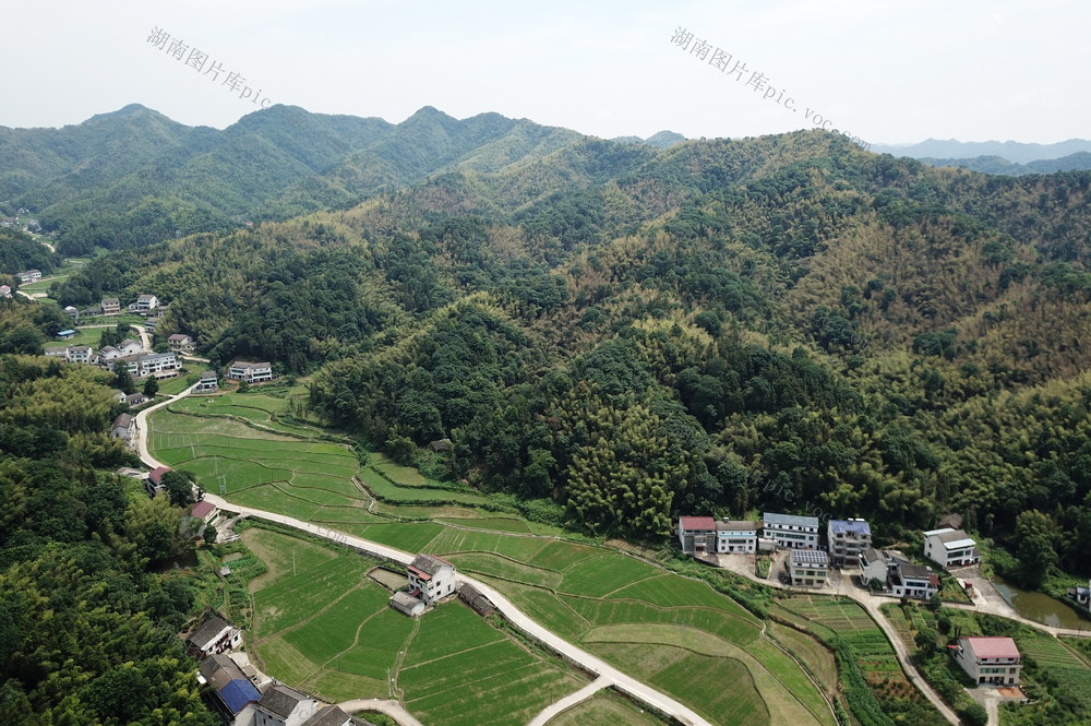 绿色口村庄口景色