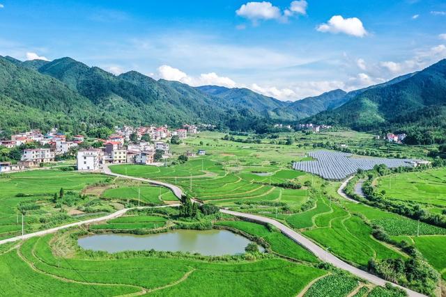 乡村 田园 产业 农业 三农 农村 夏日