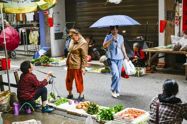 雨天 菠菜 市场供应