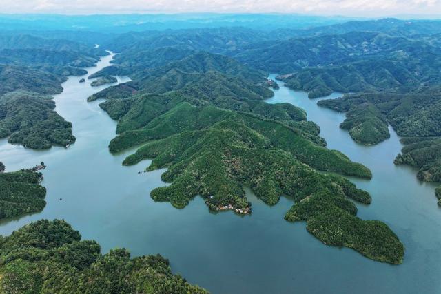 生态 水库 湿地 水清 岸绿 河长制 林长制