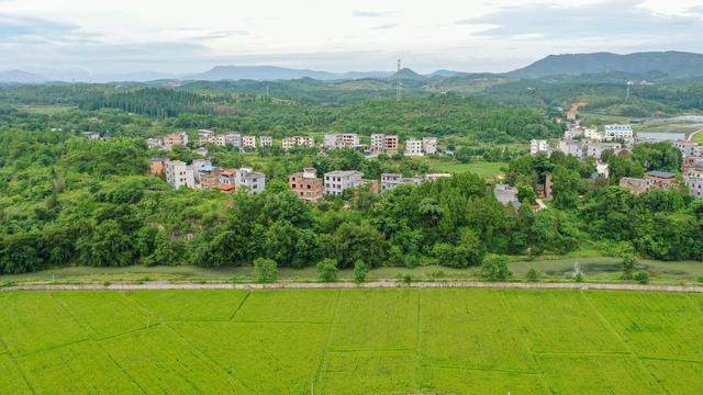 湖南 新田 稻田绿 乡村美