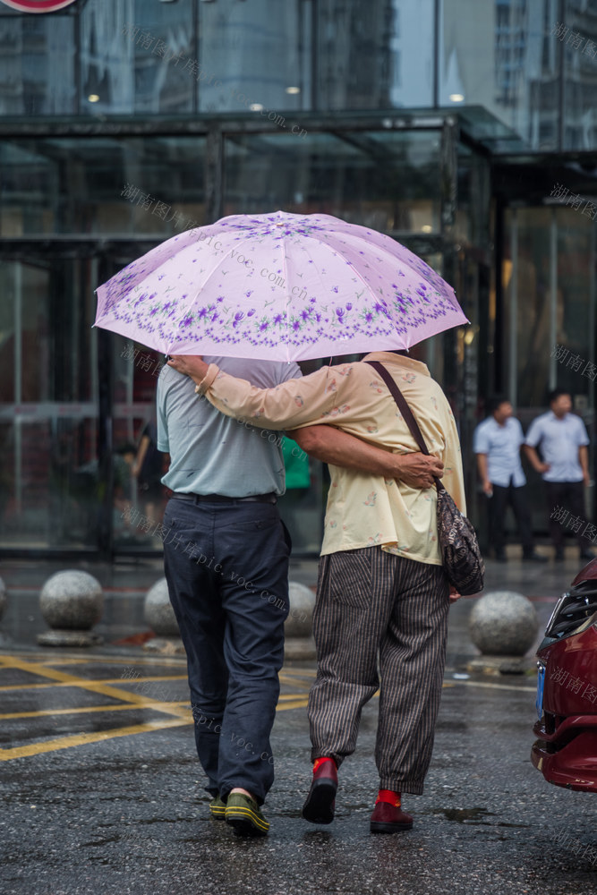 伞  街道  雨中  伴侣  爱