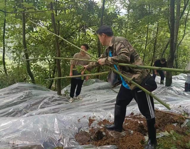 党员干部奋战抗洪救灾第一线