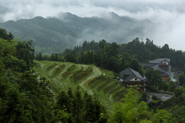 梯田  水稻  山村
