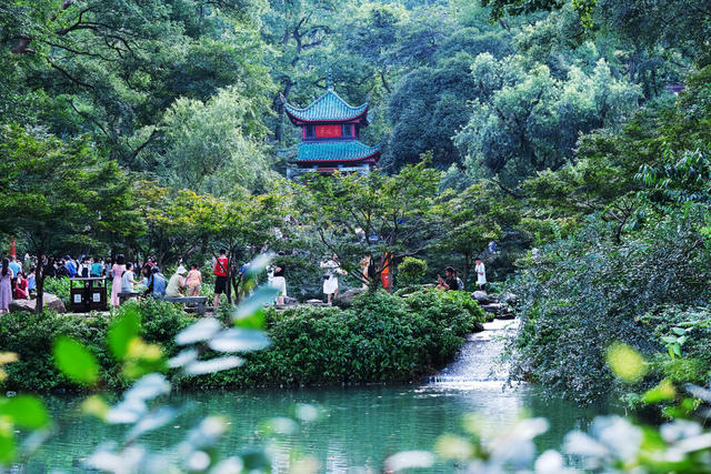 岳麓山，爱晚亭，游人如织