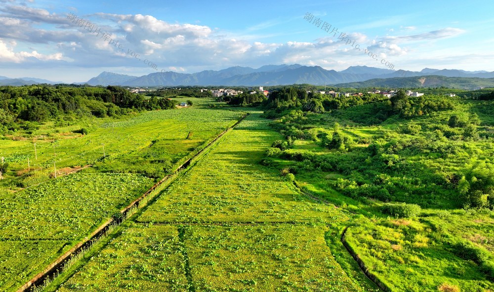 湖南  常宁  乡村  美景