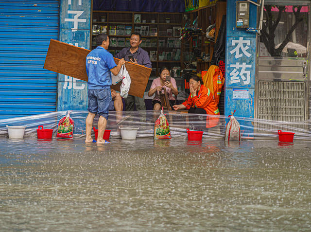 晚稻抢播 救灾补损