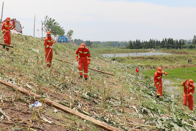 岳阳华容 消防救援 36度高温 抗洪第一线 团洲垸