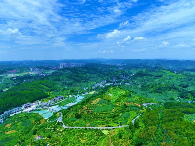 瓜果  飘香  景如画