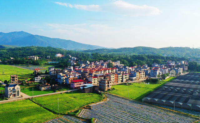 嘉禾：乡村晨景美