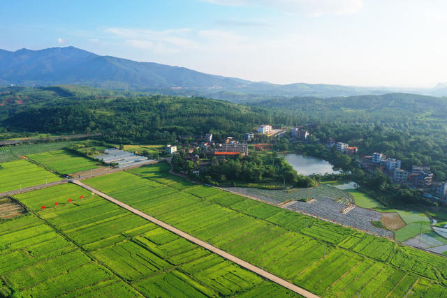嘉禾：乡村晨景美