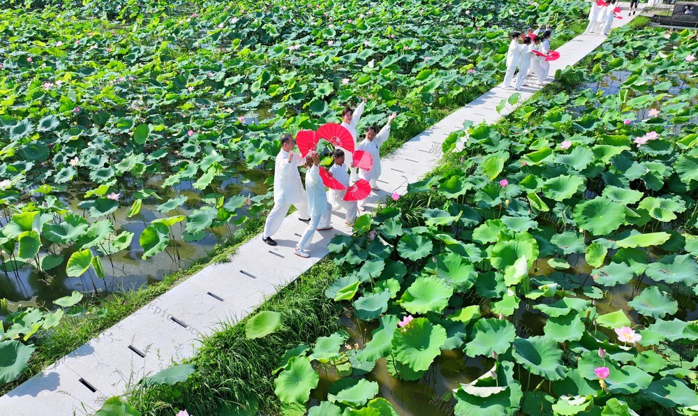 湖南  常宁  乡村  旅游