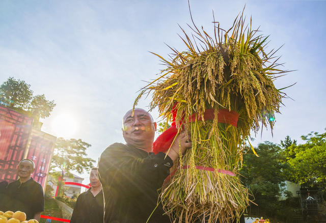 省级非遗项目六月六尝新节