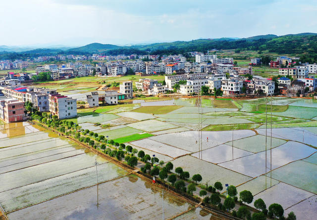 嘉禾：田园如画