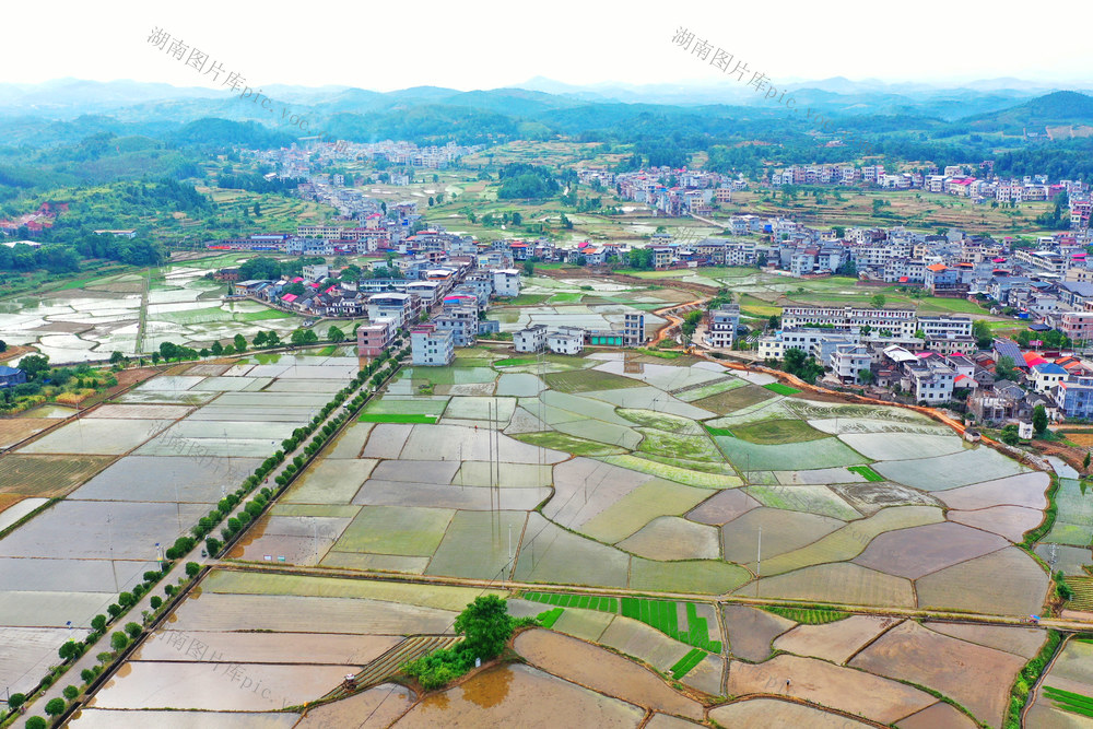 嘉禾：田园如画