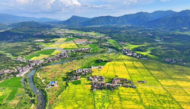 湖南  常宁  湖波  稻田