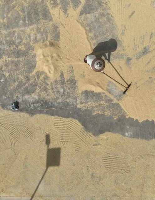 早稻
道县
粮食