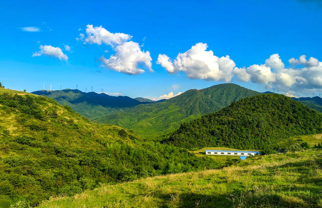 高山生态牧场美景如画