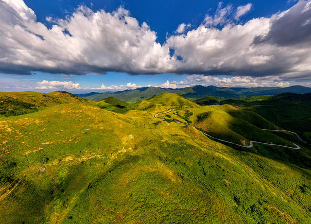高山生态牧场美景如画