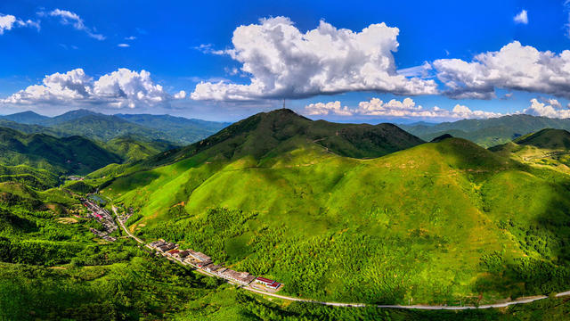 高山生态牧场美景如画