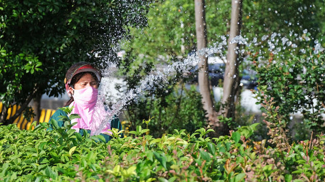 浇水抗旱，保绿化