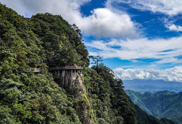 多情瑶女  清凉莽山 