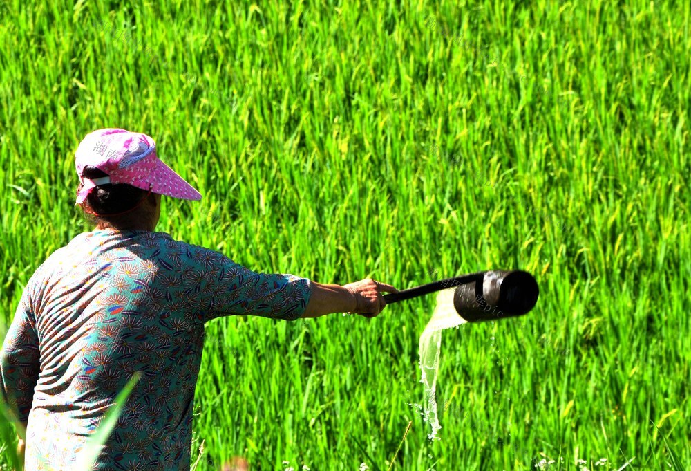 浇水 花生 抗旱