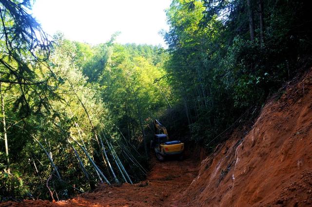 林道  修建 资金