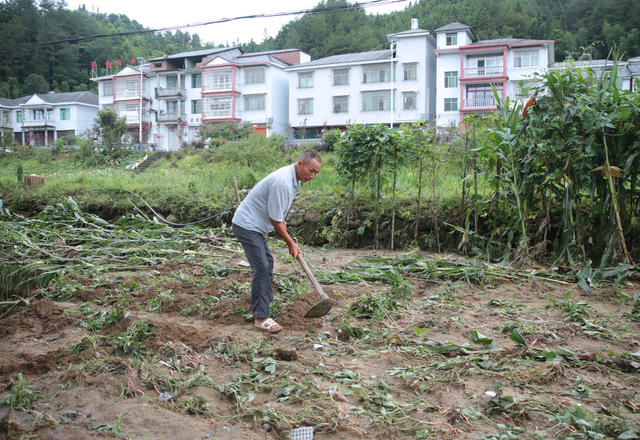 湖南桂东 “格美” 強降雨 生产自救 村民