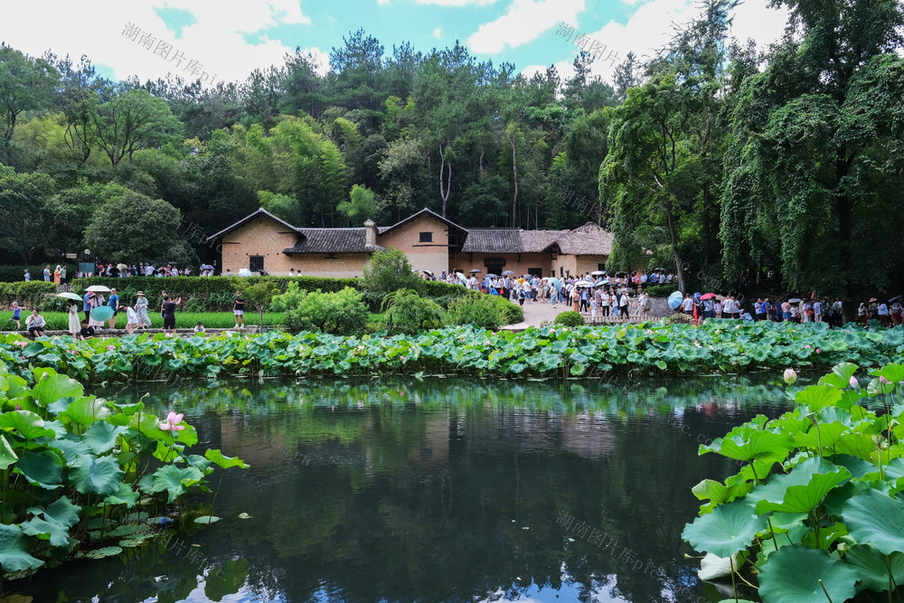 红色旅游，火热，韶山