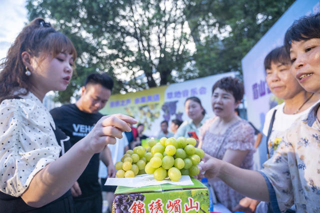 娄底 农文旅 音乐会 优质水果