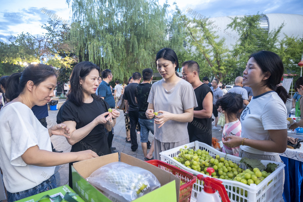 娄底 农文旅 音乐会 优质水果